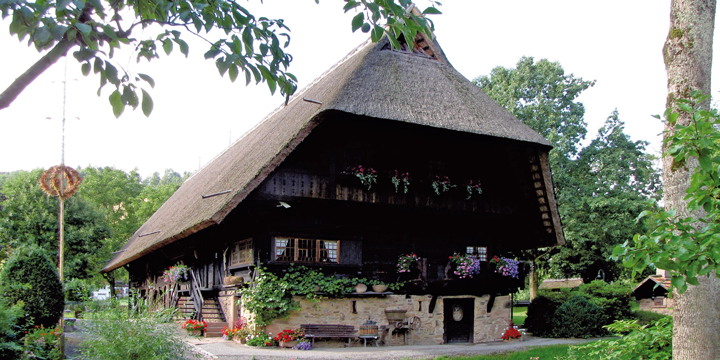 ドイツの藁葺の古民家